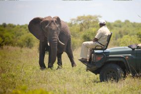 Timbavati Private Nature Reserve