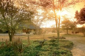 Timbavati Private Nature Reserve