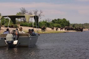 Chobe Bakwena Lodge