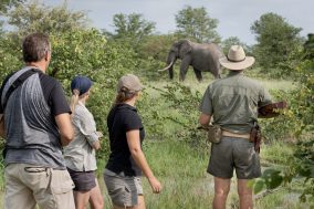 Senalala Luxury Safari Camp