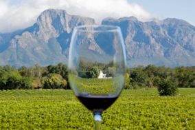 Cape Winelands