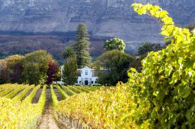 Cape Winelands