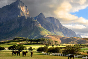 Franschoek