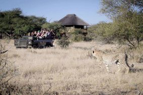 Klaserie Private Game Reserve