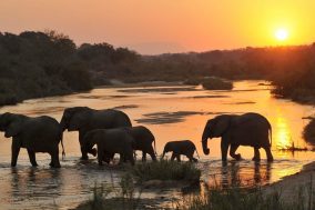 Sabi Sand Private Reserve