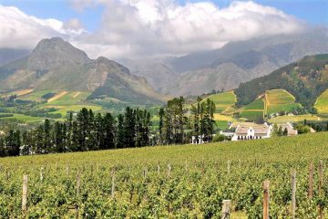 Franschoek Winelands