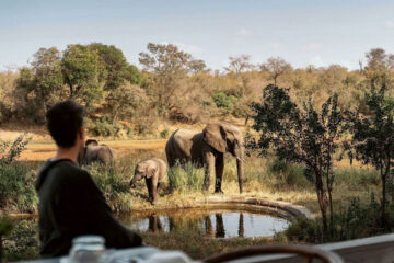 Simbavati River Lodge