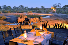 Elephant Valley Lodge