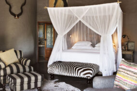 Motswari Private Game Reserve